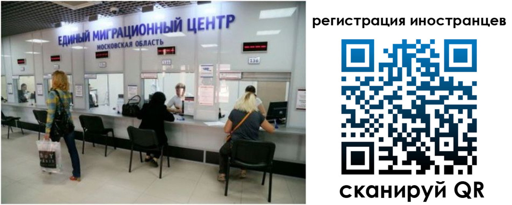где прописаться в Светлогорске